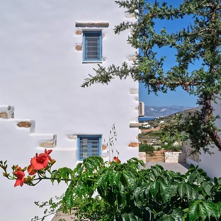 Willa Luxurious Pactia Amazing Pool *