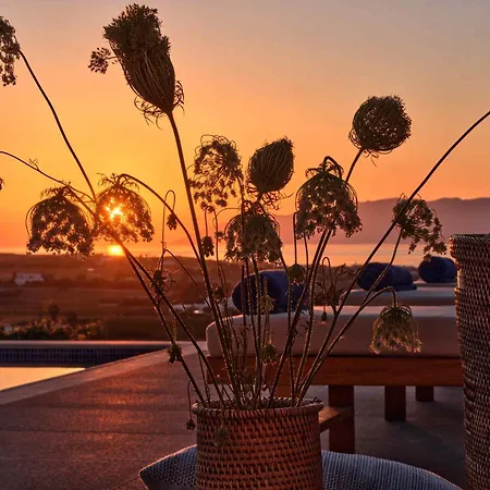 Willa Luxurious Pactia Amazing Pool